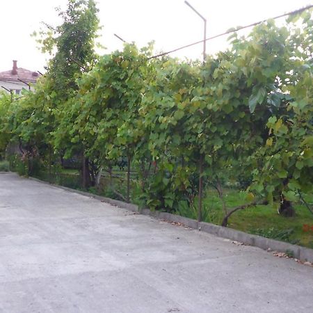 Guest House U Aleny Gagra Bagian luar foto
