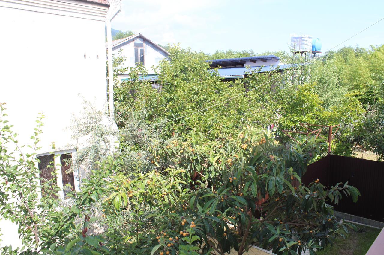 Guest House U Aleny Gagra Bagian luar foto