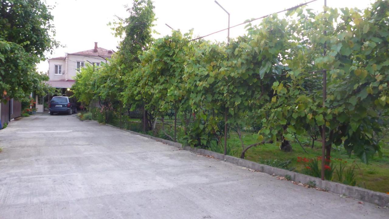 Guest House U Aleny Gagra Bagian luar foto